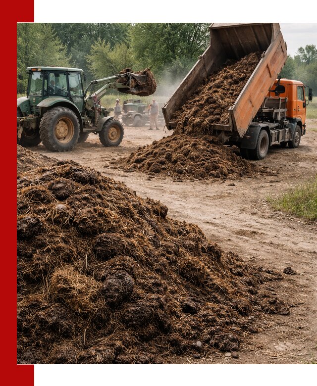 Доставка навоза самосвалами в Ярцеве для сельхозпотребностей